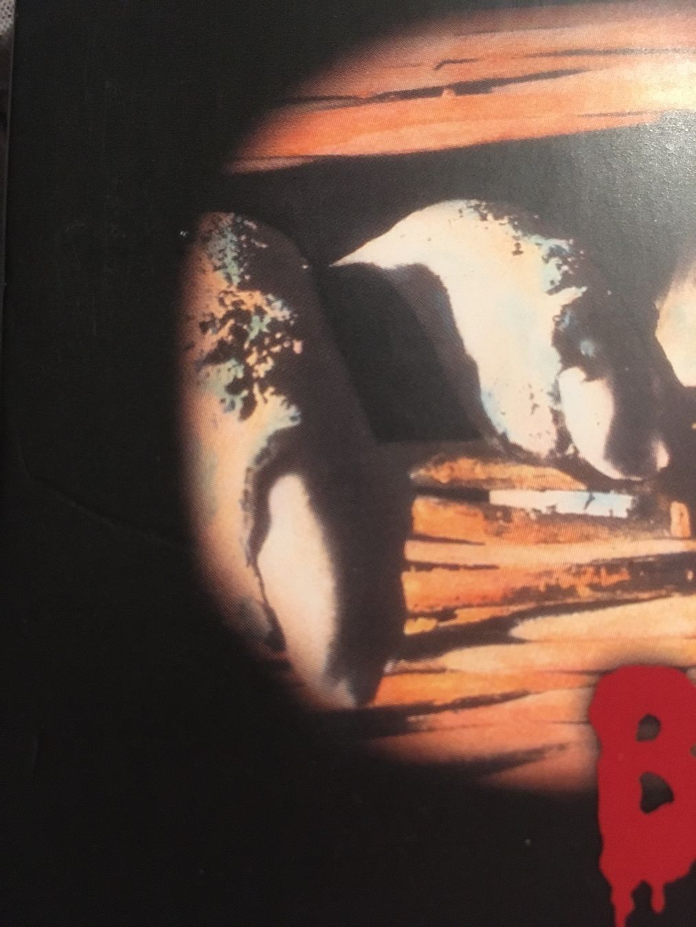 Alle DVDs: Basket Case Trilogy limitierte Auflage/ vergriffen – Gebraucht aus Konolfingen von link09 4