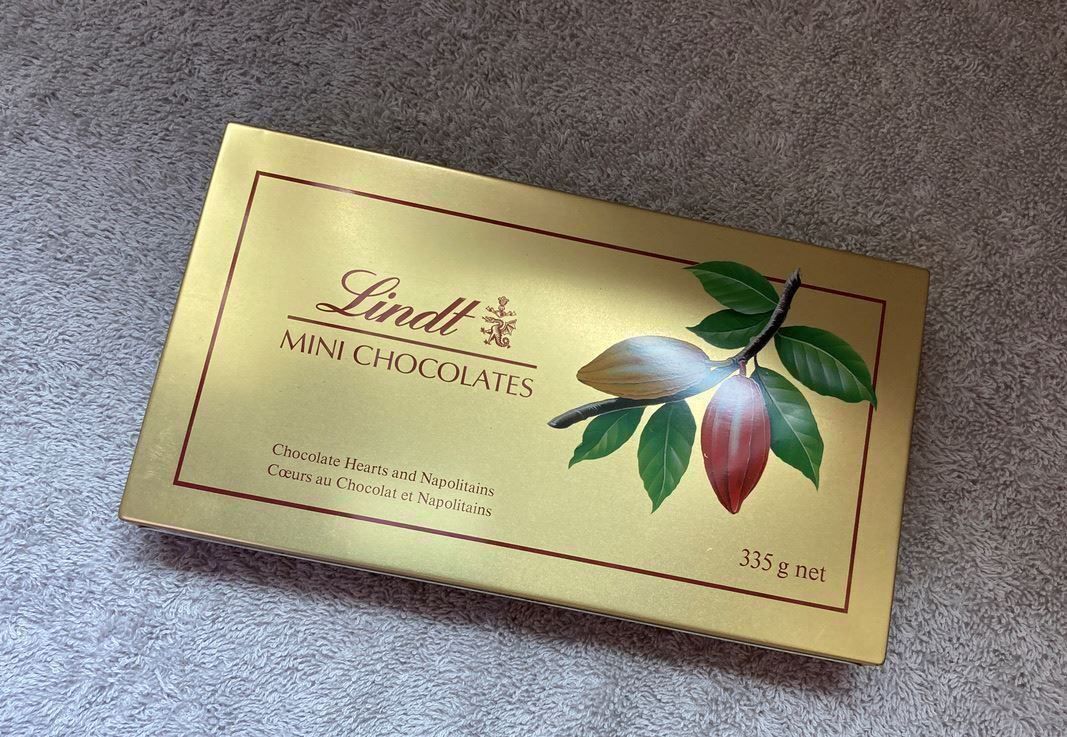 Altro in Decorazioni & Accessori: Lindt Blechschachtel – Nuovo (secondo la descrizione) da Wolfhausen venduto da uchuva26 2