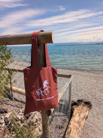  Tragetasche „Wild Soul" mit Pferde-Stickerei – Upcycling