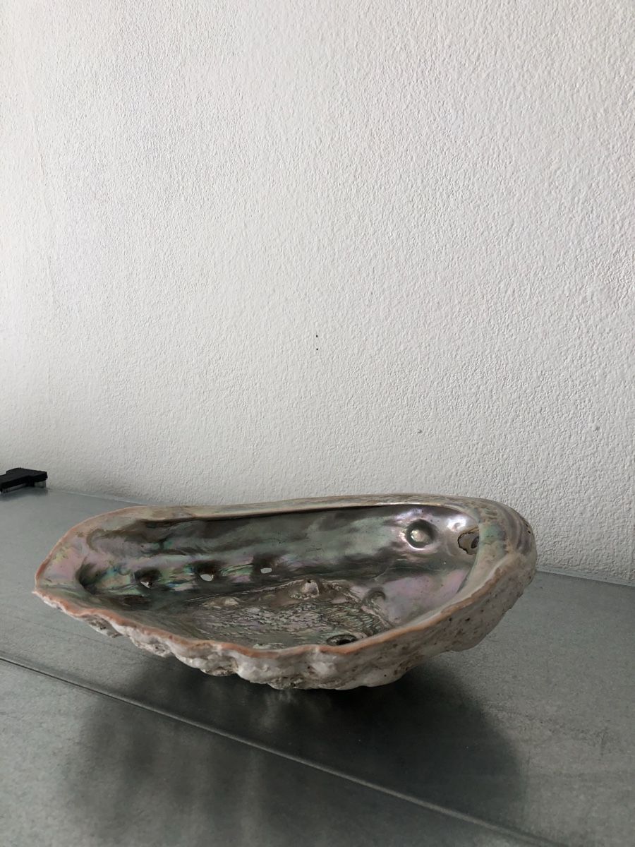 Minerali & Pietre curative: Schöne große Abalone-Muschel – Usato da Basel venduto da Amechan. 3