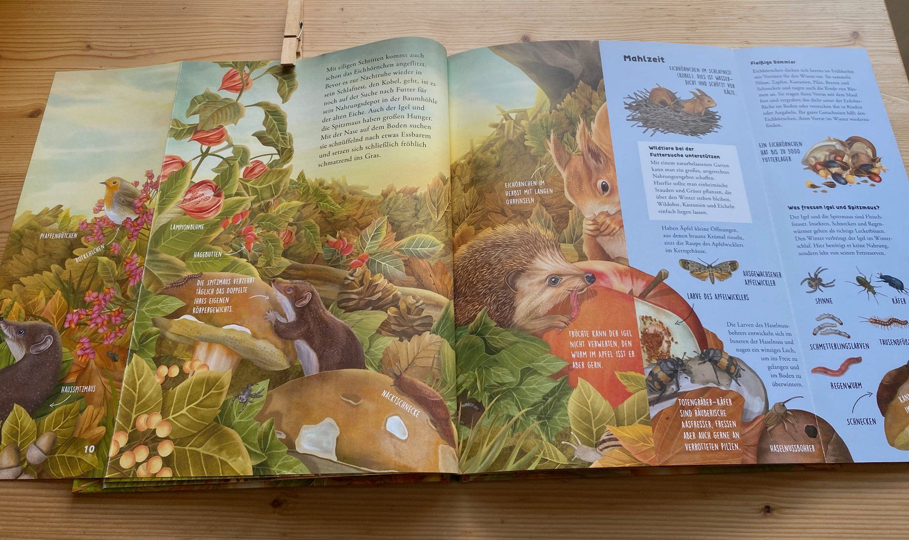 Bücher: Jana Walczyk: Was raschelt da im Laub – Gebraucht aus Weinfelden von Cheyenne21 5