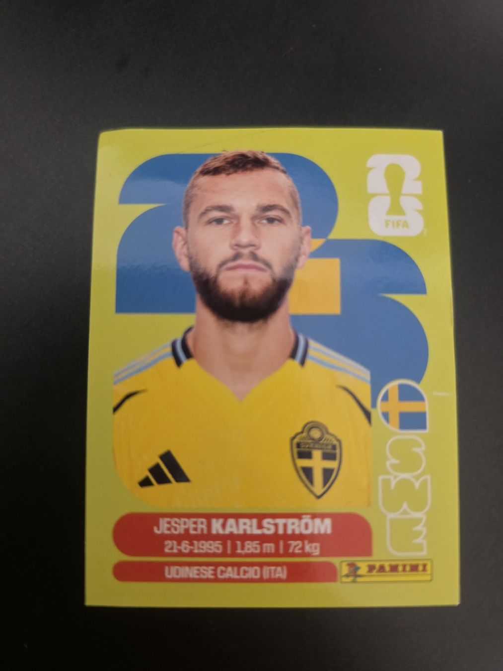 Panini Carte collezionabili: Panini Sticker SWE10 – Nuovo (secondo la descrizione) da Kriens venduto da Caroline_Schweiz