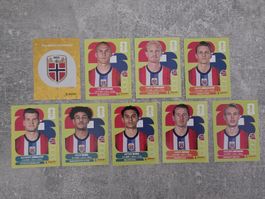 Panini WM 2026 -Norwegen