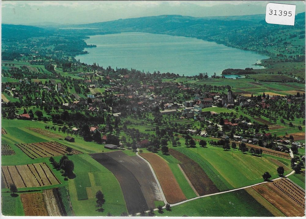 Flugaufnahme Hallwilersee Kaufen Auf Ricardo