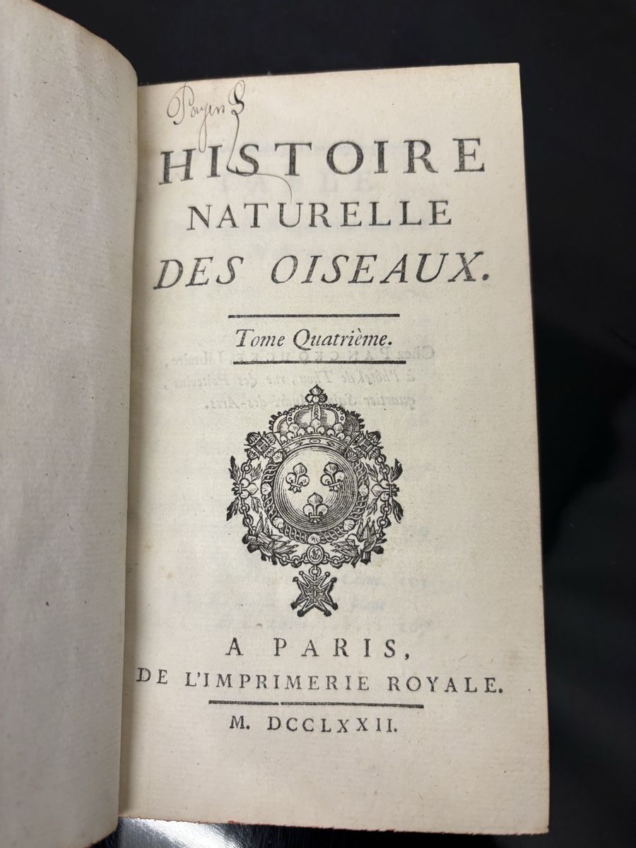 Libri: Histoire narurelle des oiseaux, Buffon, Band 4 – Usato da liebefeld venduto da RolandBern 2