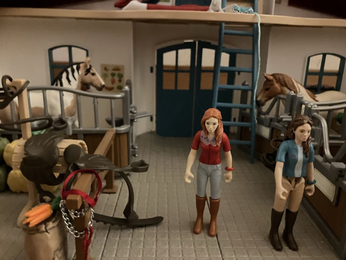 Schleich Giocattoli: Schleich Pferdehof – Usato da Liebefeld venduto da saladin77 2