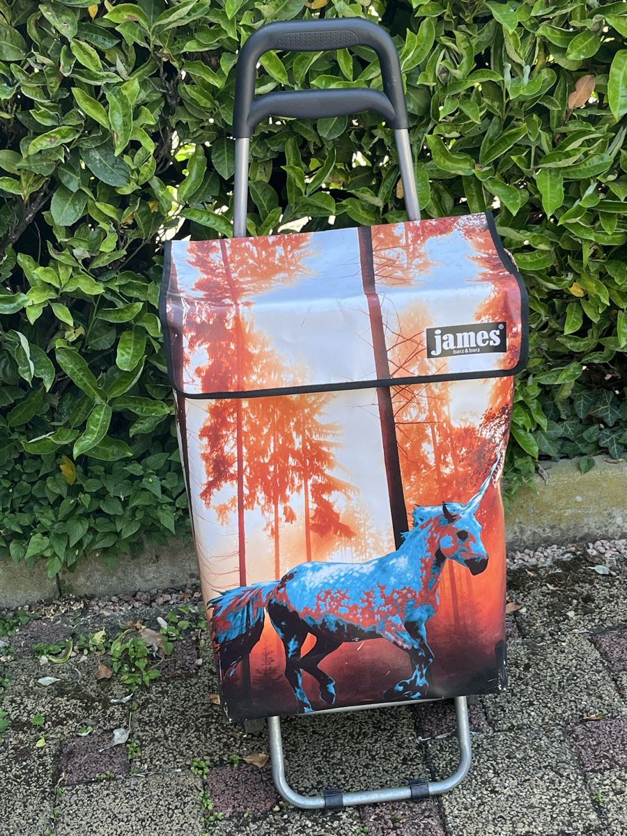 Altro per la casa: Einkaufswagen James Einkauf Trolley Einkaustrolley Einhorn – Usato da Ittenthal venduto da kitty-w1971
