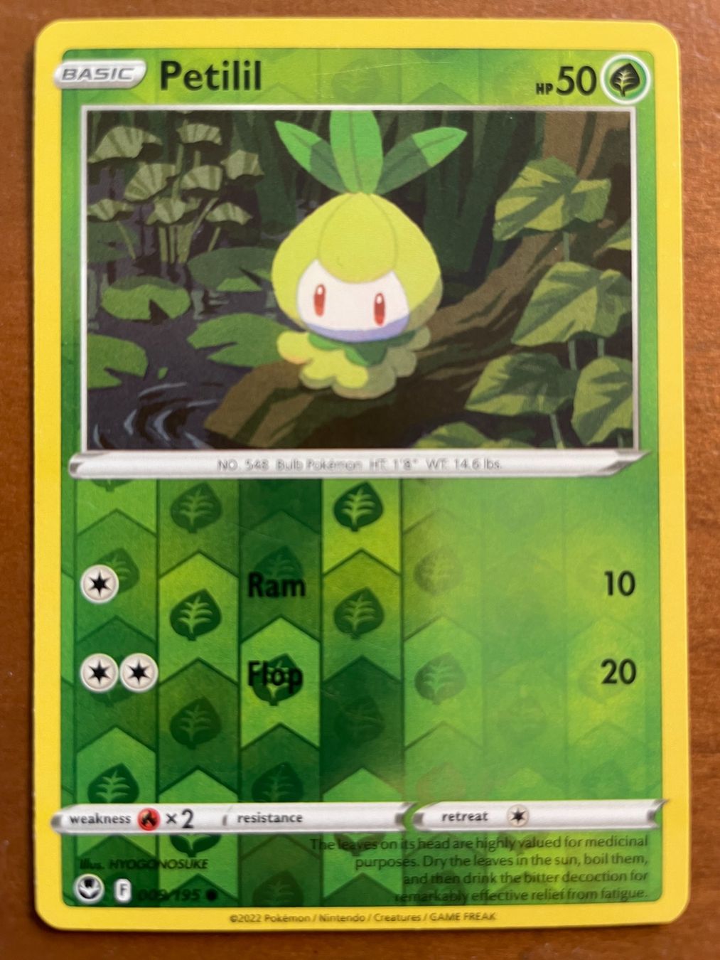 Pokémon Carte collezionabili: Pokemon Petilil Reverse (Versand gratis) – Nuovo (secondo la descrizione) da Chur venduto da Angerson