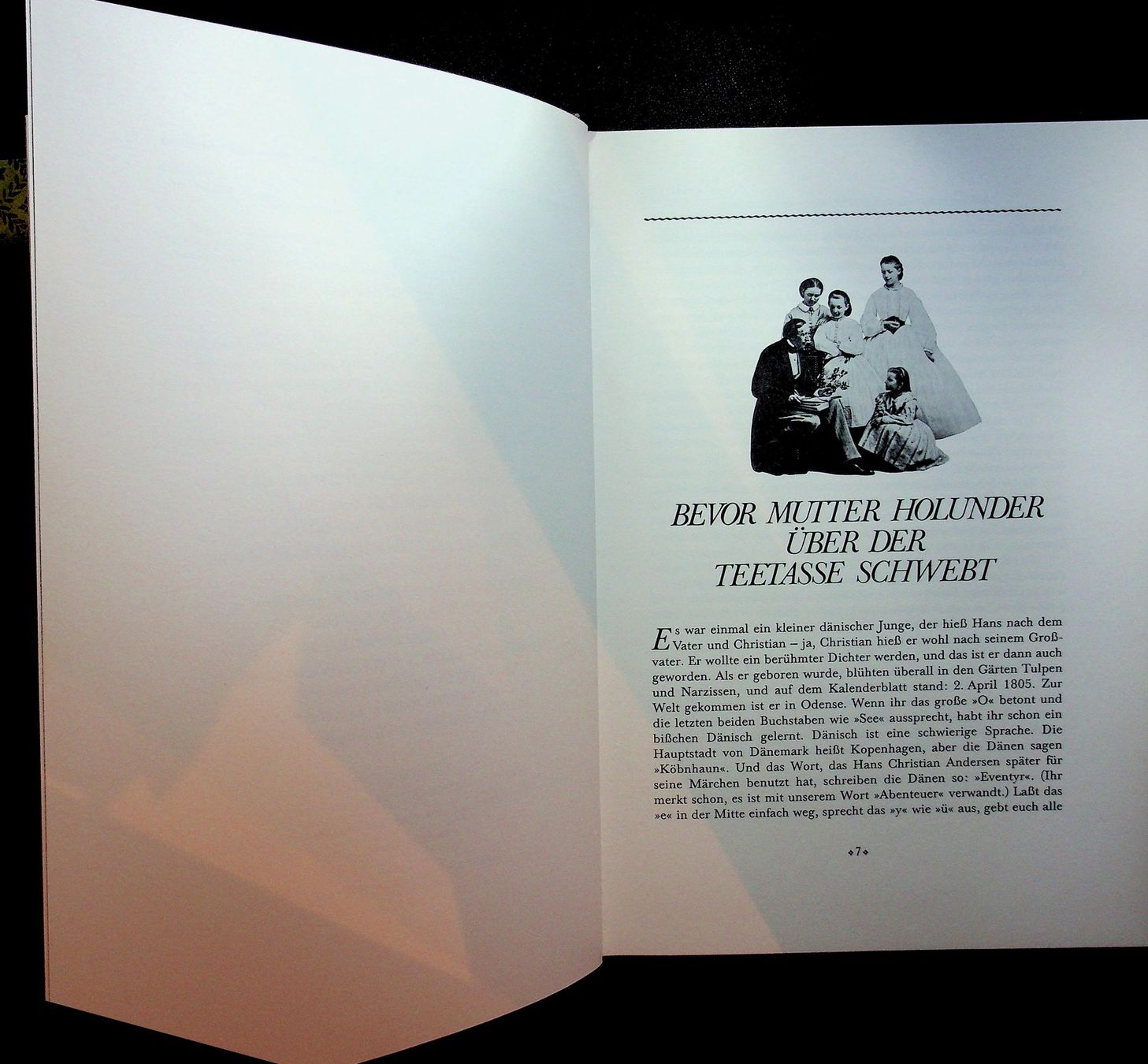Bücher: H.Ch. Andersen Mutter Holunder 21 Märchen aus dem Teekessel – Gebraucht aus Reitnau von Zaomir 3