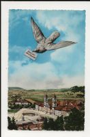 AK ca.1950 Gruss aus Maria Einsiedeln mit Taube 😍
