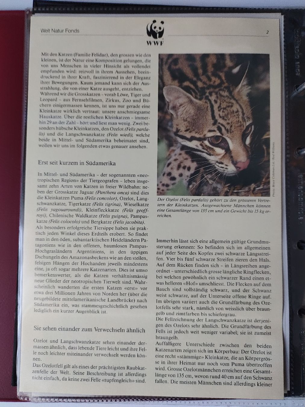 Tutti i francobolli: WWF Ozelot Langschwanzkatze Briefmarken Sammlung – Nuovo (secondo la descrizione) da Greifensee venduto da Retepw 1