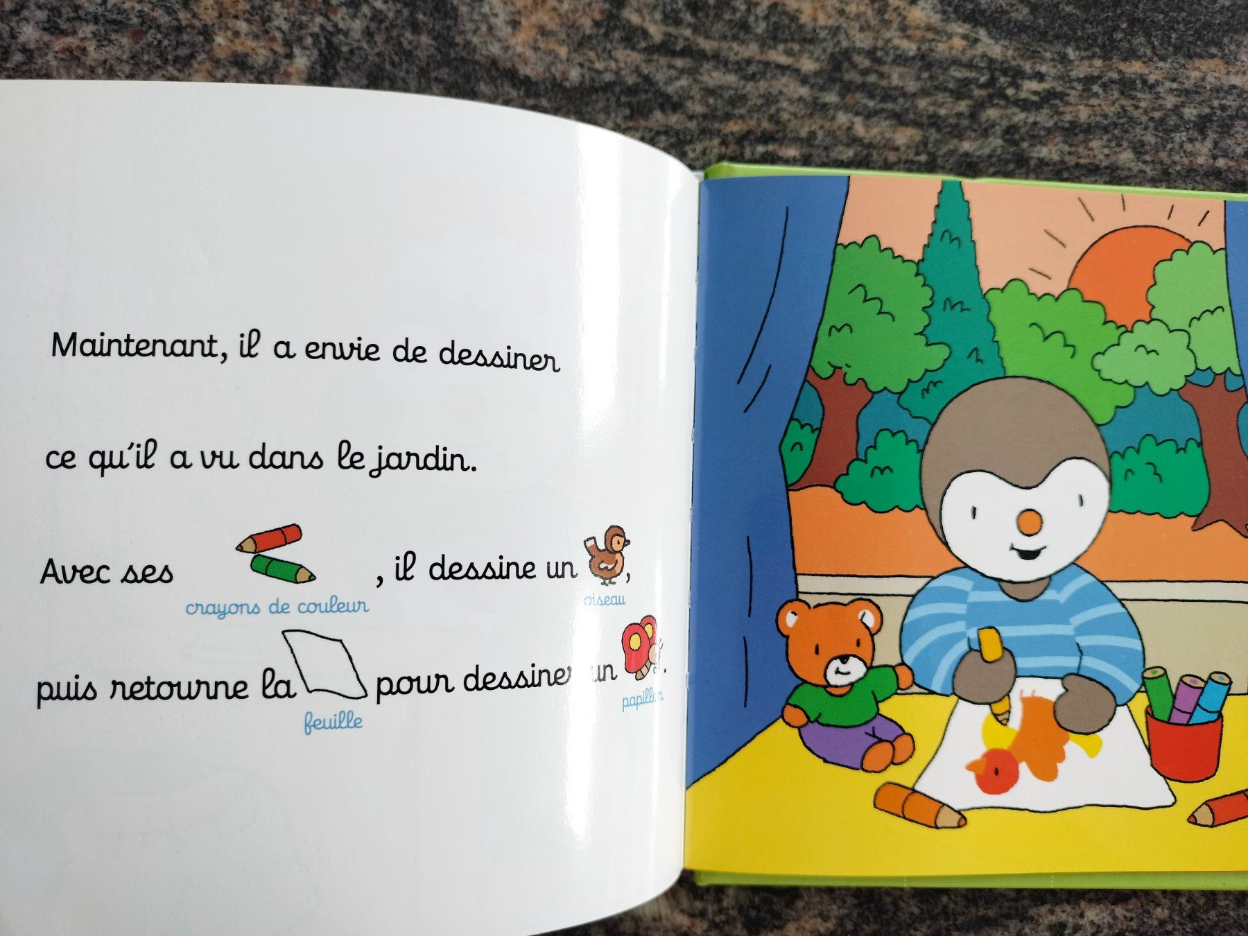 Bücher: T'choupi prend soin de la planète – Gebraucht aus Cortaillod von  7