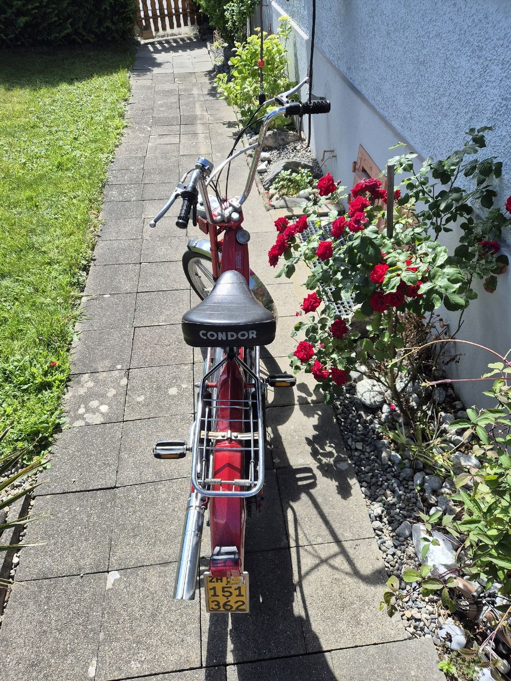 Puch Mofas: Puch Maxi    mit Ausweis u.Nummer – Gebraucht aus kloten von eismeister33 3