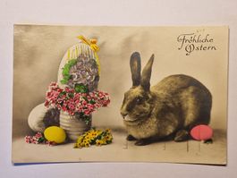 Fröhliche Ostern