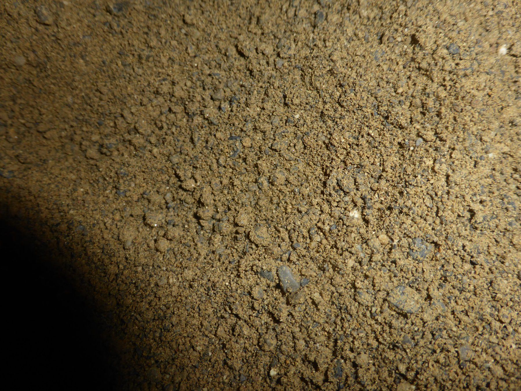 Sandkasten: Sand – Gebraucht aus Triengen von Nussbaum14