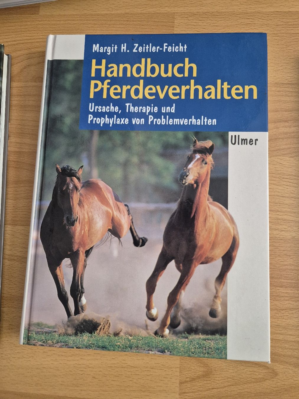 Briglie & Cavezze: Pferdefachbuch "Handbuch Pferdeverhalten" – Nuovo (secondo la descrizione) da Meggen venduto da Orrinka20