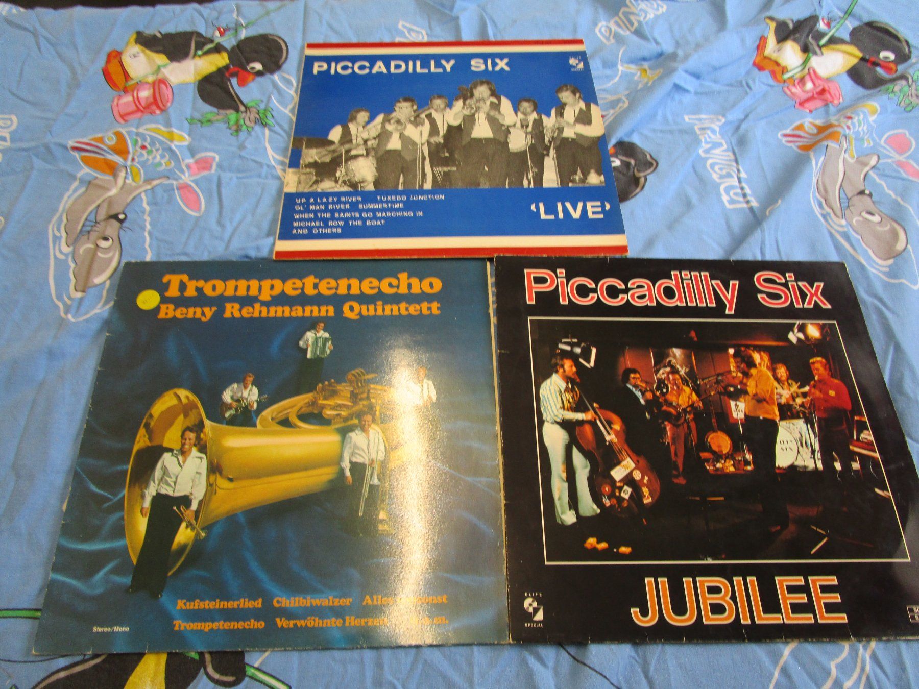 Dischi in vinile: Schallpatten Sammlung ältere LP – Usato da Rupperswil venduto da Ema10 7