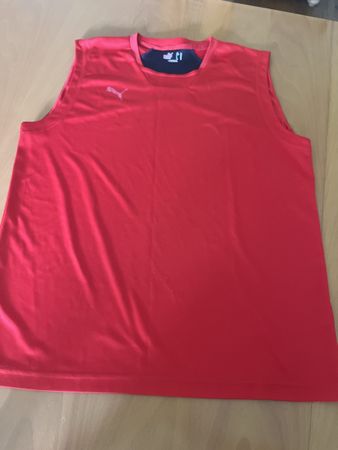 Puma Shirt