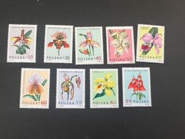Polen / Polska 1965 Orchideen Mi.-Nr. 1612-20 **  (4649)