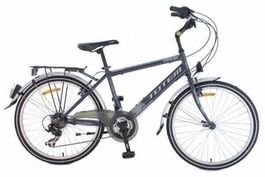 SALE => 21-Gang TOTEM Jugend City Bike montiert