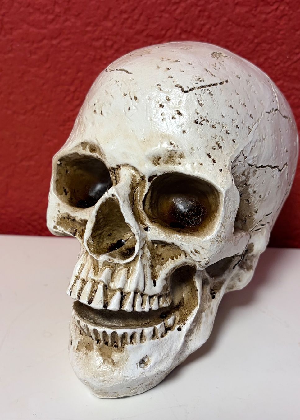 Figuren: Deko Totenschädel - Neu – Neu und originalverpackt aus Zäziwil von Emlea 3