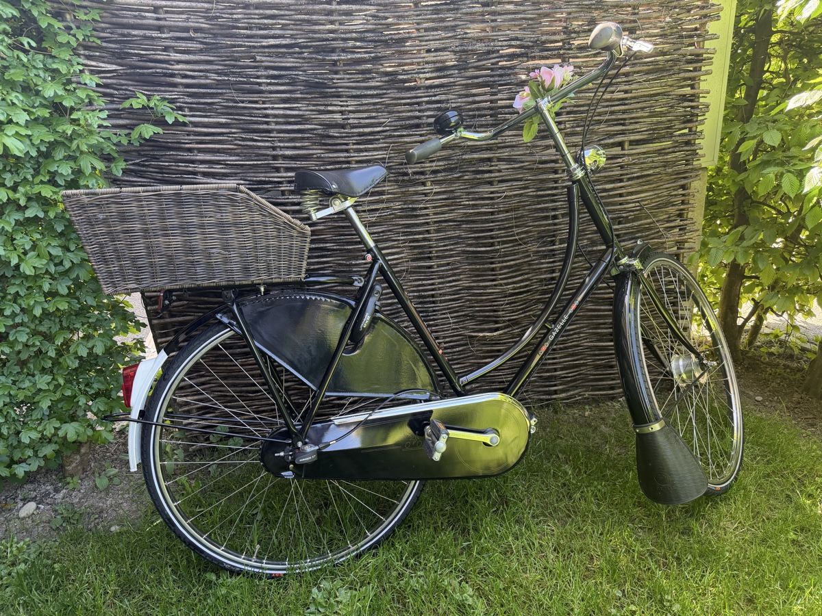 Gazelle Biciclette: Gazelle Hollandvelo T7 – Usato da Fällanden venduto da Caramel7