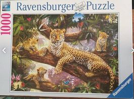 1000 Teile Puzzle - Leopardenfamilie