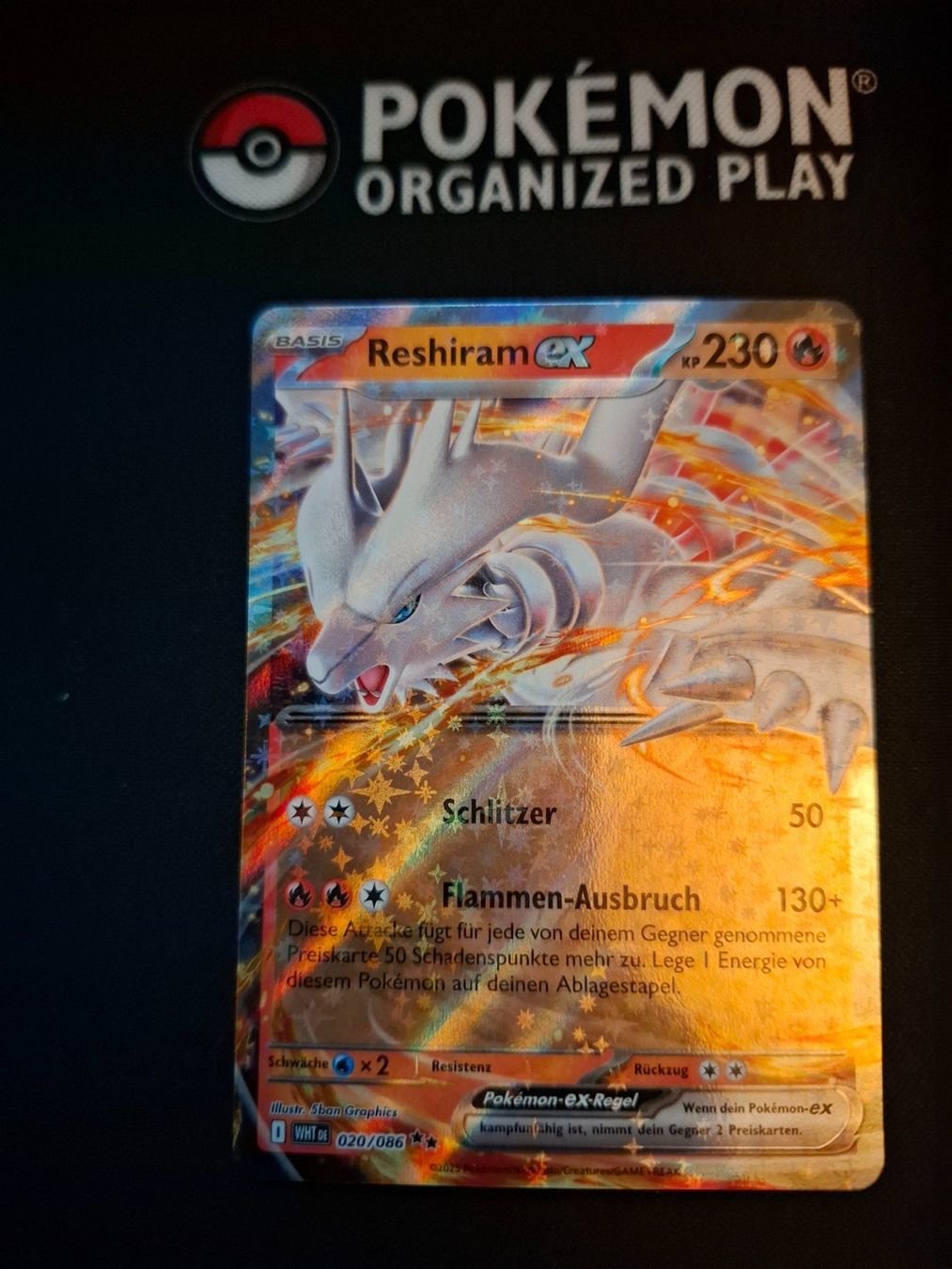 Pokémon Carte collezionabili: Pokemon Reshiram EX 020/086 WHT – Nuovo (secondo la descrizione) da Gammen venduto da Karbax