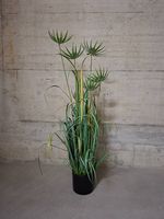 Hochwertige Kunstpflanze Papyrus-Gras im Topf | 120 cm hoch
