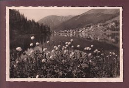 Davos - DAVOSERSEE - Trollblumen - 1935