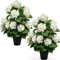Künstliche Hortensien 2er Set 76 cm im Topf Weiss