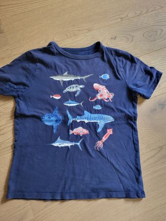 T-Shirt Polo GAP - 8 ans -   128 cms