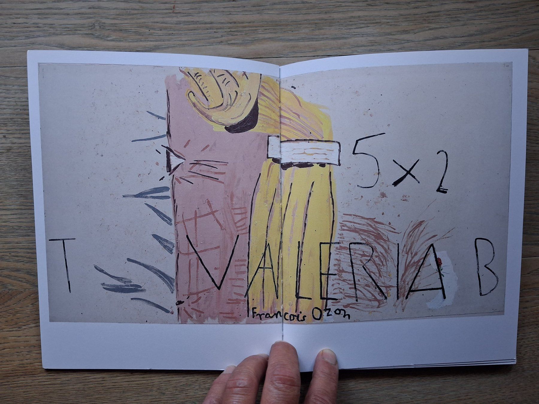 Libri: Rose Wylie kunstklassiker rar – Usato da Welschenrohr venduto da Regool 3