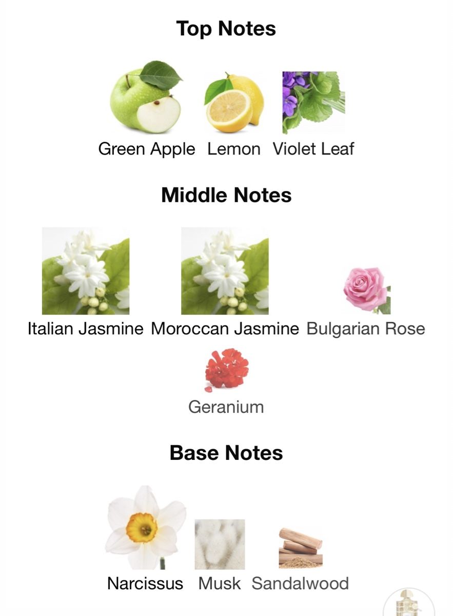 Creed Parfum & Eau de Toilette: White Flowers Creed parfum probe 1 ml – Gebraucht aus Täuffelen von RoyaltyBrown 4