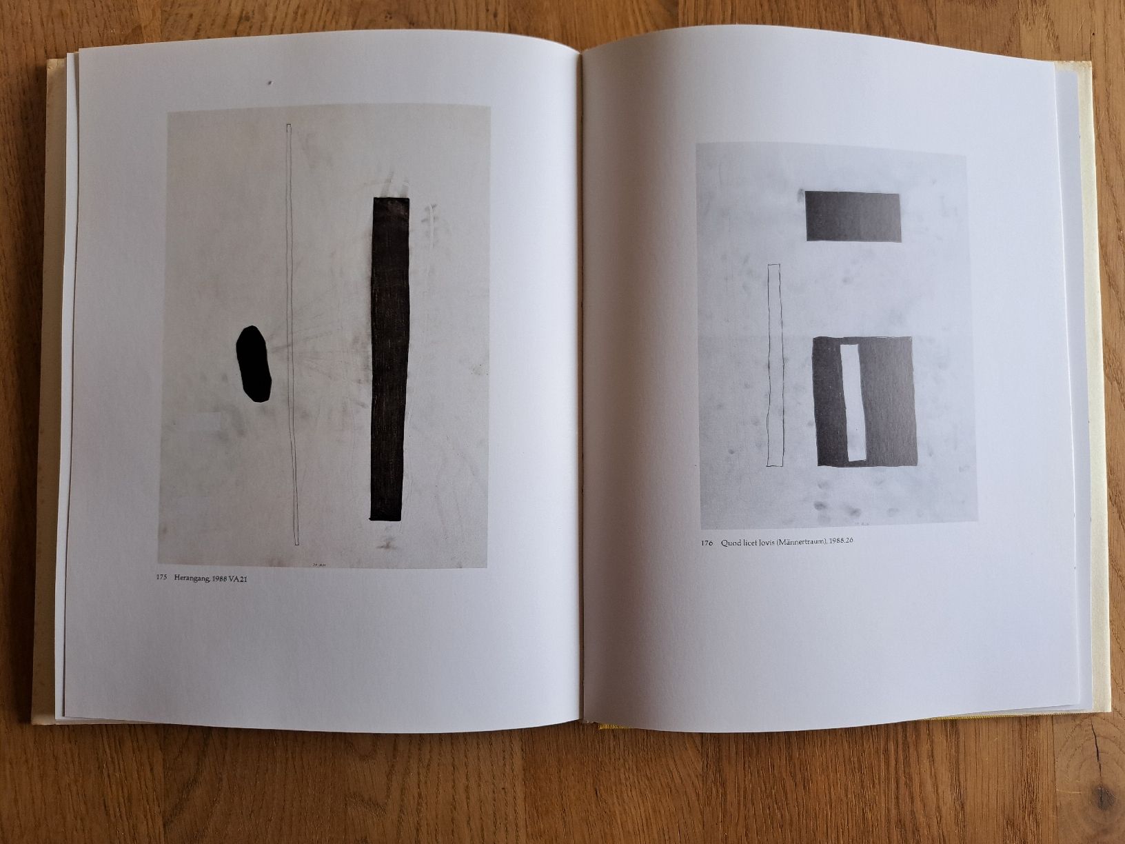 Libri: Partenheimer Tönende Schatten, Kunstbuch – Usato da Pratteln venduto da mab_f2fz 3