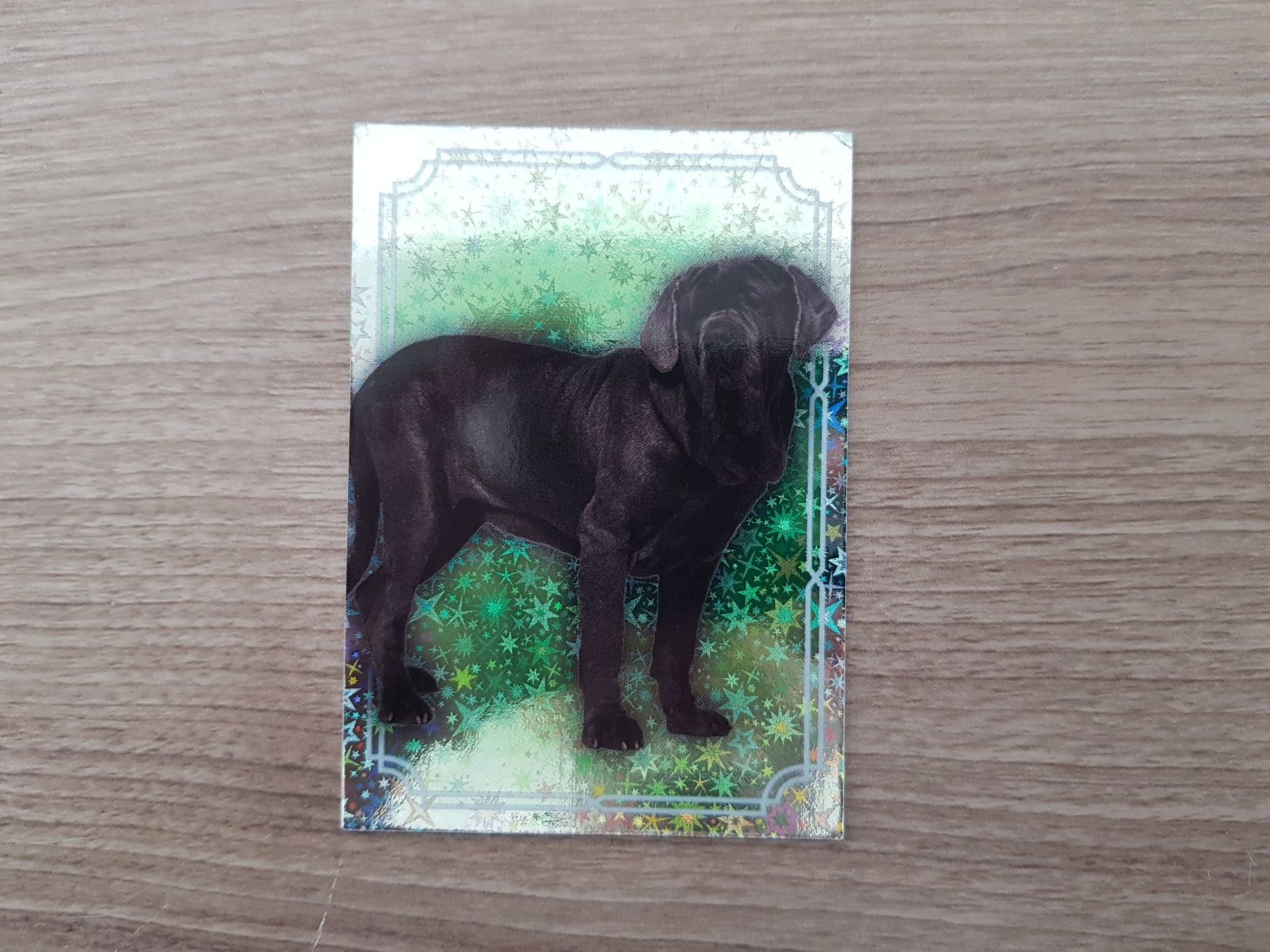 Cartes à collectionner: Harry Potter Panini Evolution Card 157: Schwarzer Hund Holo – Neuf (Voir description) à Bassersdorf par retrolab