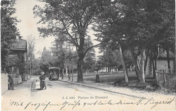 Cartoline postali: Genève Plateau de Champel mit Tram – Usato da Olten venduto da clotaldi