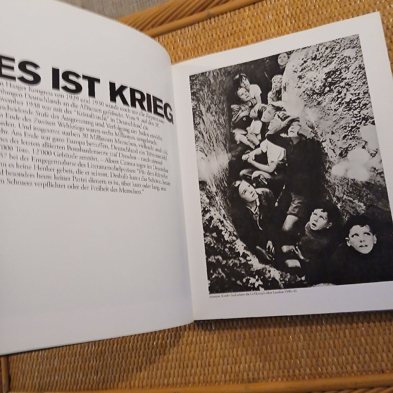 Libri: Der geduldige Planet von Bachmann/Schwartz,  – Usato da Wädenswil venduto da LeTroedel 2