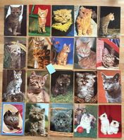 20 AK mit Katzen Motiv