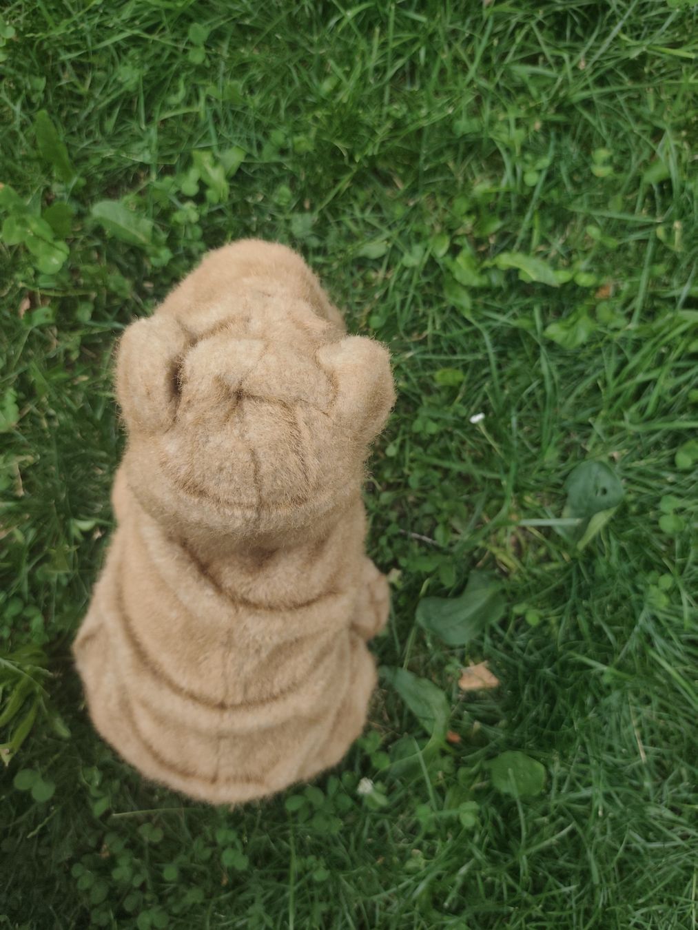 Spielzeuge: Shar-pai Hund Plüschtier  – Gebraucht aus Wald ZH von Enyafay 4