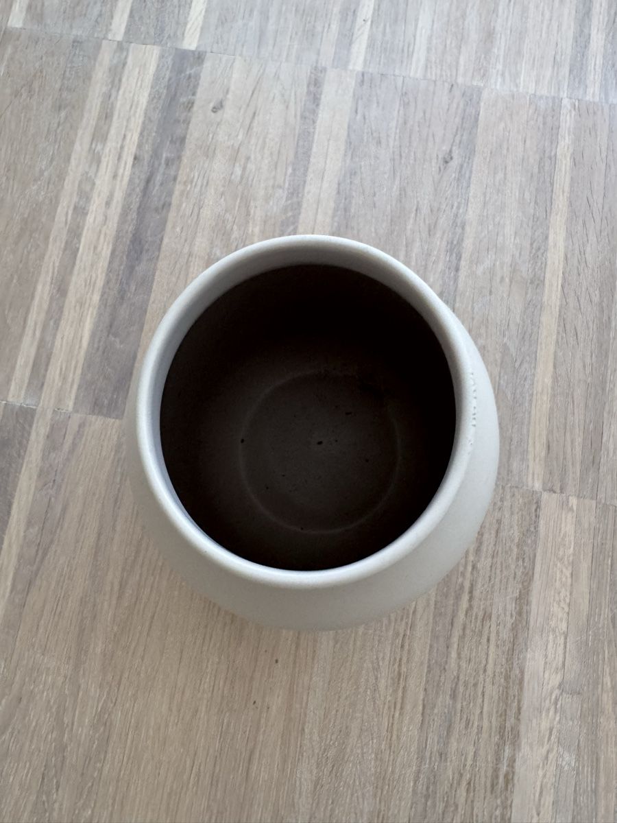 Blomus Vasi & Recipienti: Blomus Vase, beige, Top Zustand! – Usato da Binningen venduto da happy_xx 3