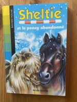 Sheltie et le poney abandonné - Livre hiver pour enfant ❄️🐴