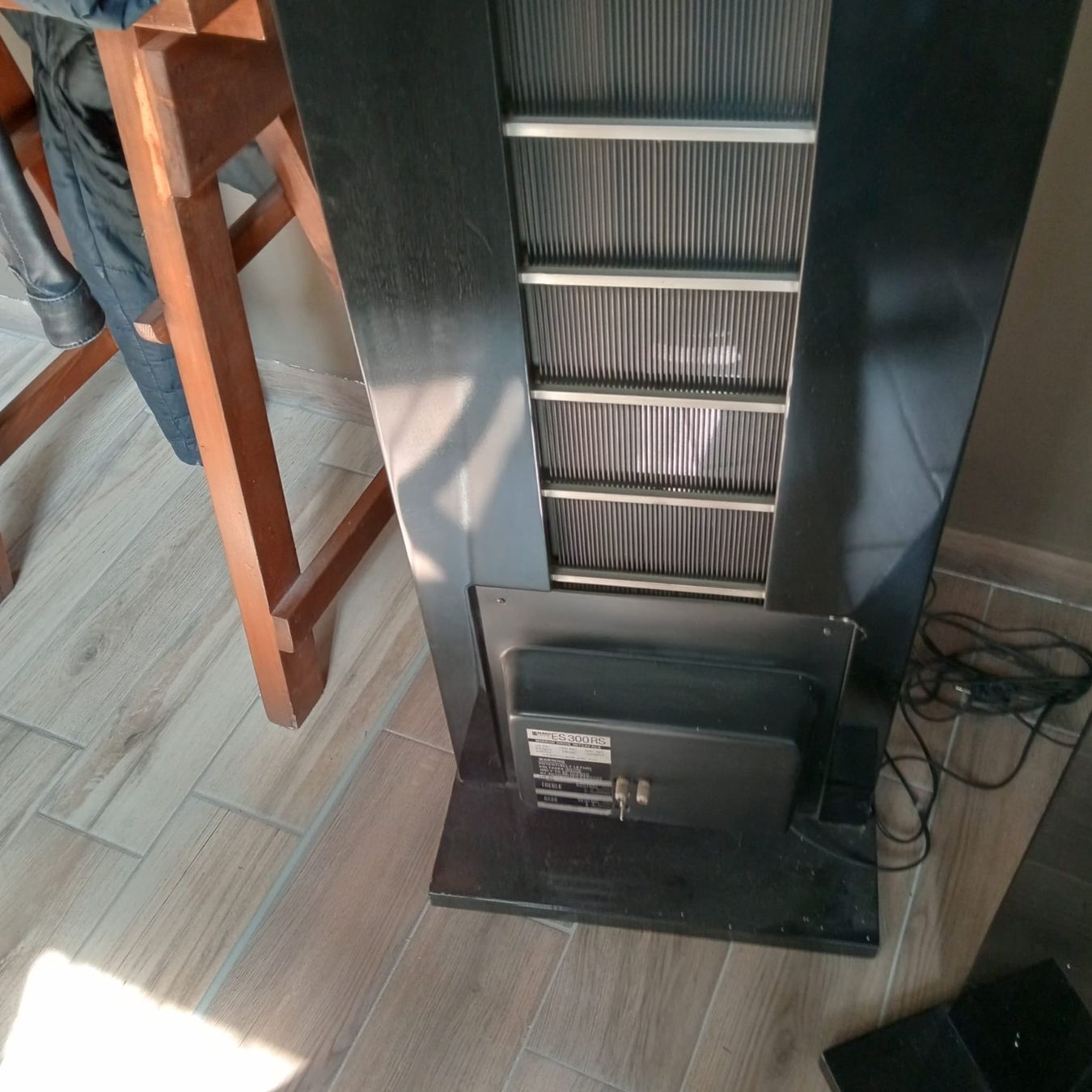 Casse acustiche: High End Speakers Audiostatic ES300 RS – Usato da St-Cergue venduto da per_6cx5