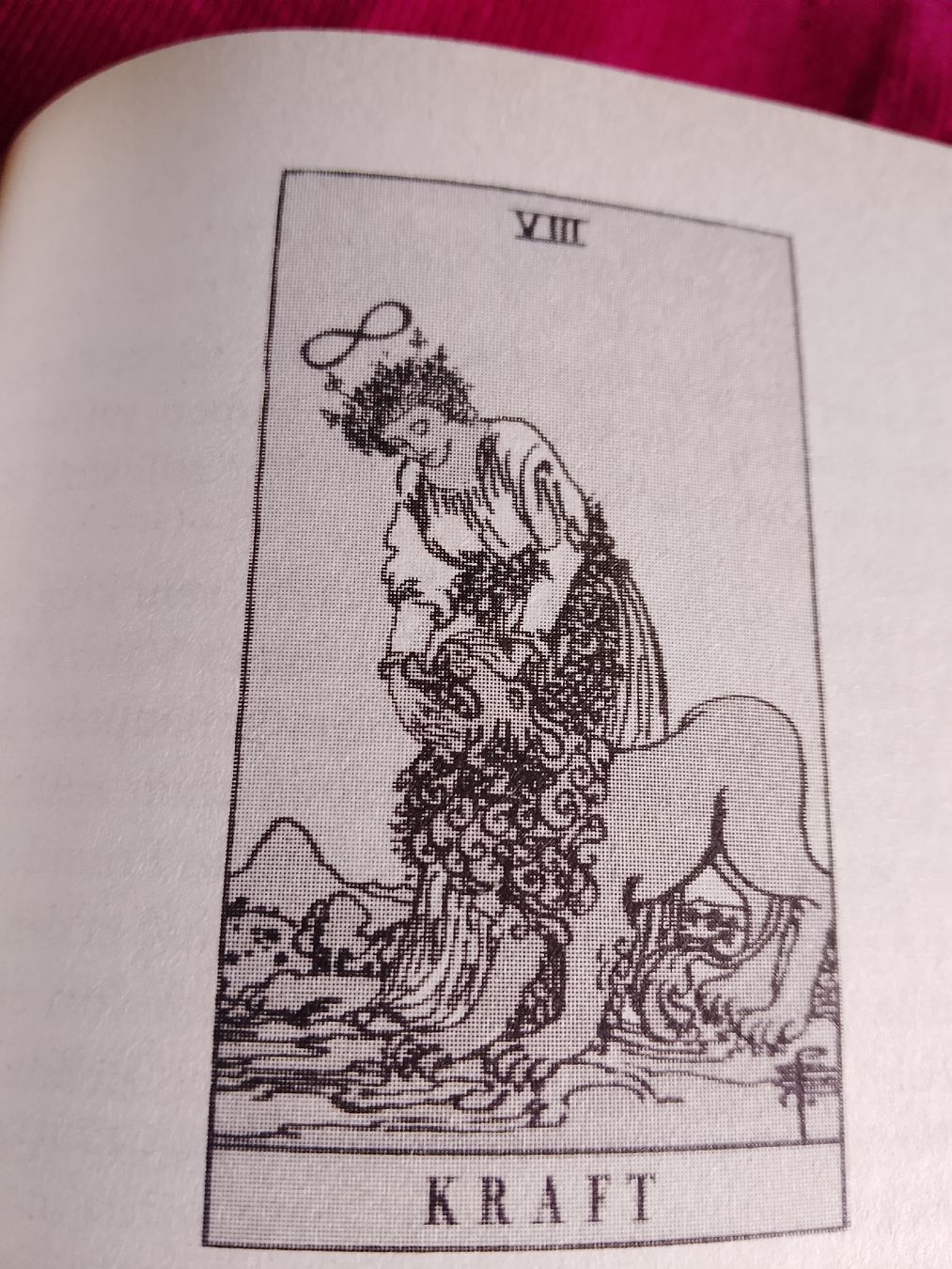 Libri: Die 12 Archetypen  – Usato da Volken venduto da katz5 2