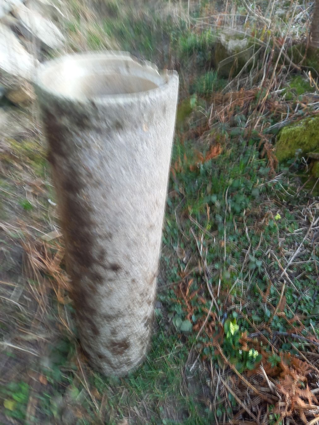 Stagni & Fontane ornamentali: Gebrauchtes Betonrohr, 20 cm Durchmesser – Usato da Galgenen venduto da Allerlei8854