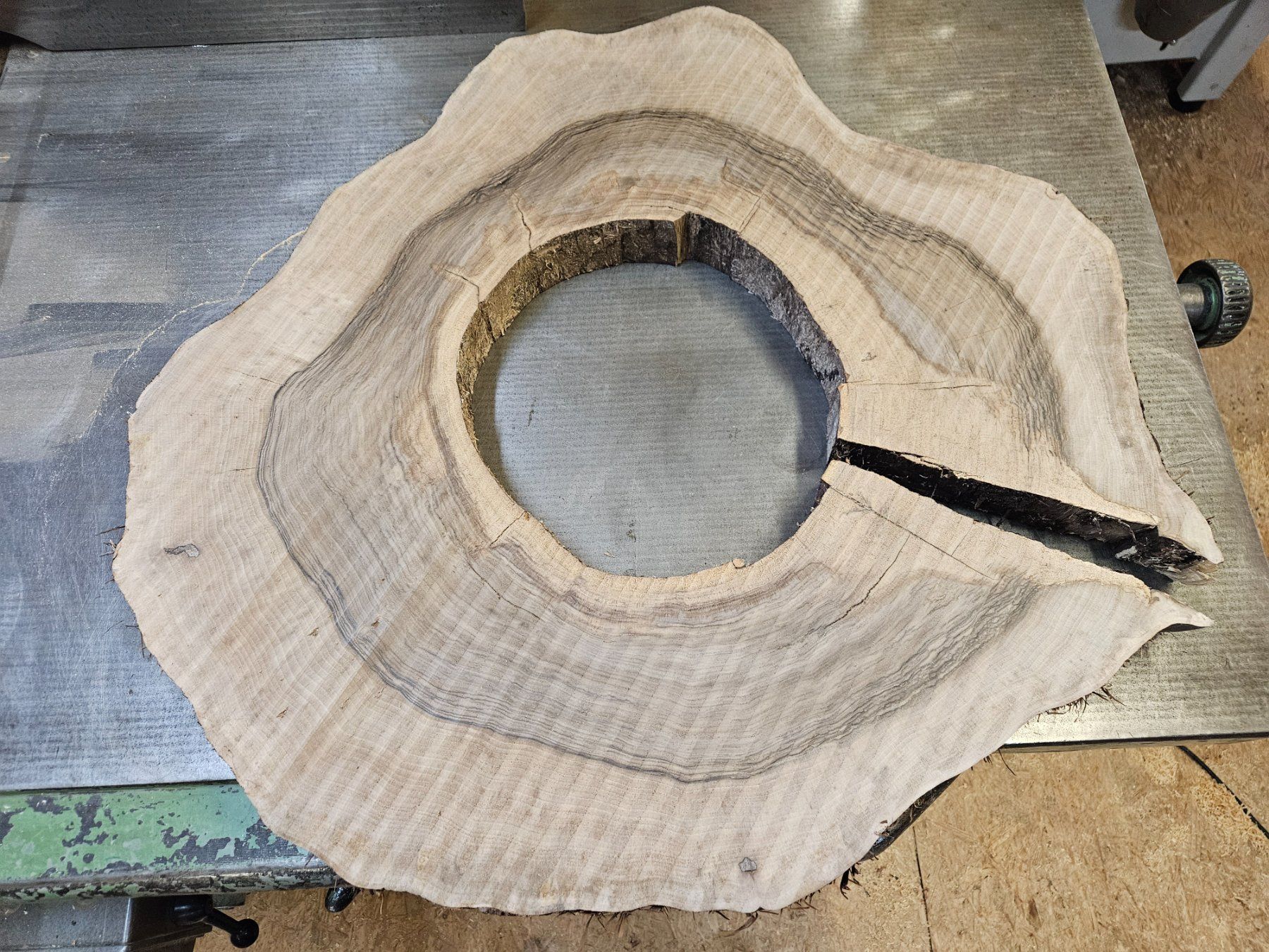 Articoli in legno: Nussbaum Holz Baumscheibe – Nuovo (secondo la descrizione) da Schangnau venduto da egli6.2 5