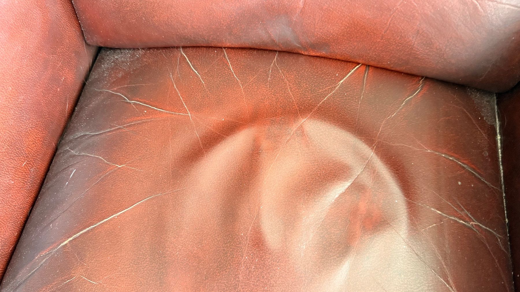 Fauteuils: Ledersessel braun – D'occasion à Wallisellen par lions009 3