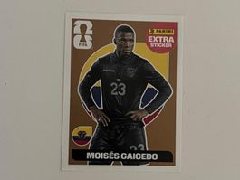 Panini Extra Sticker Caicedo