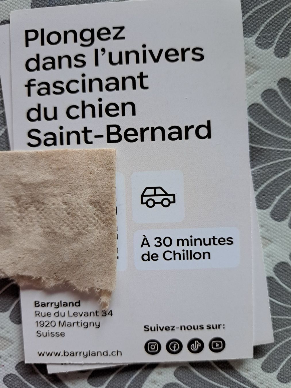 Biglietti: 2 Kindereintritte Barryland – Usato da Büetigen venduto da Schgrr 1