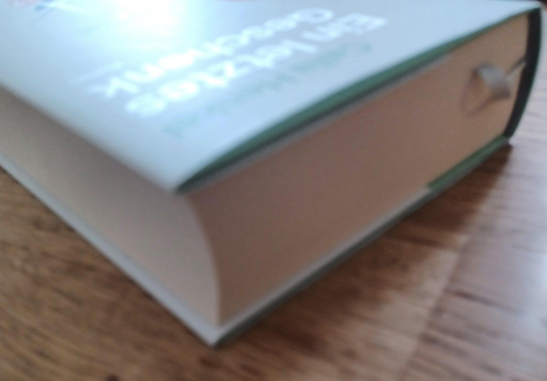 Libri: Ein letztes Geschenk - ein schwarzhumoriger Roman – Nuovo (secondo la descrizione) da Dietikon venduto da Ruempfli 5